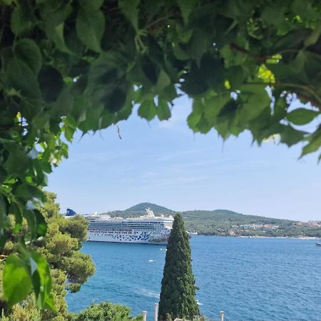 Apartment Ana Lozica With Terrace Dubrovnik Extérieur photo